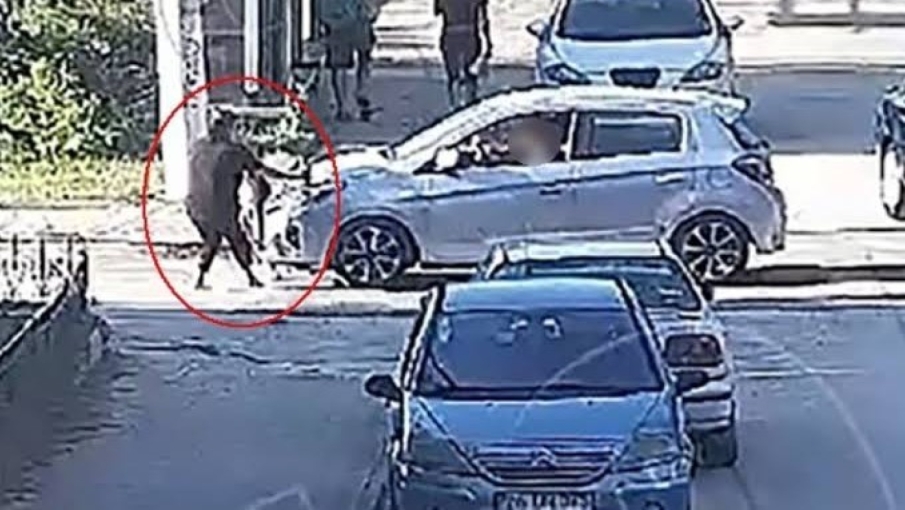 Eskişehir'de Elif Mavi'nin ölümünde 15 yıl hapis talebi